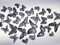 Bavlnená štóla šedé motýle 50cm