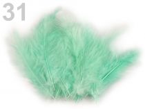 Textillux.sk - produkt Pštrosie perie dĺžka 12-17 cm - 31 mint