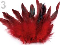 Textillux.sk - produkt Slepačie perie dĺžka 15 cm - 3 červená tm.